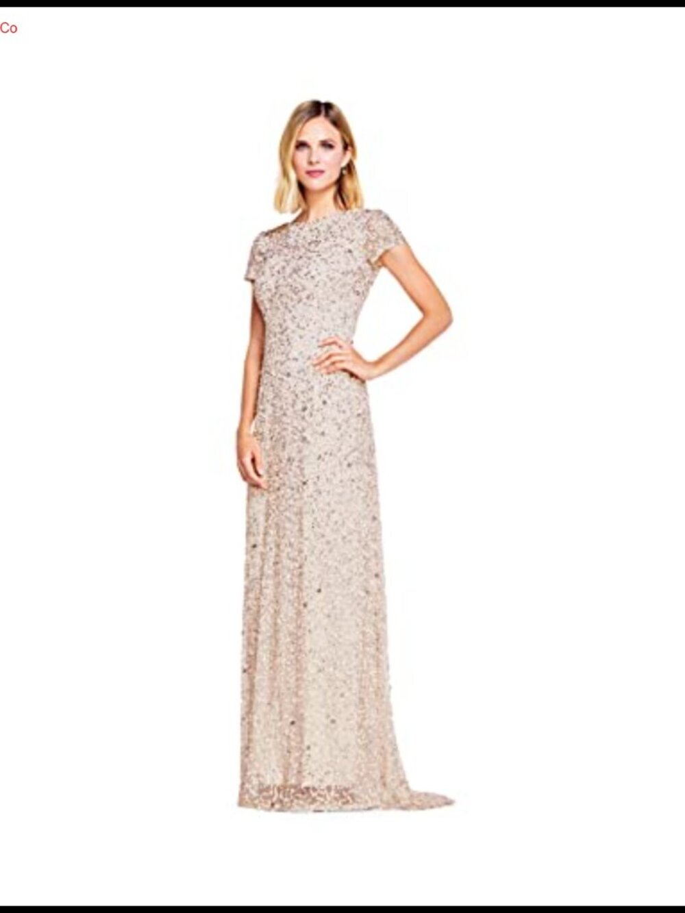 Scoop Back Long Sequin Evening Dress Formal A-Line Short Sleeve